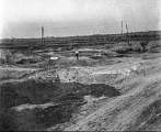 PK 00190 BUSKO