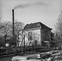 PK 00239 BUSKO