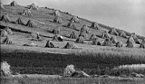 PK 03284 BUSKO