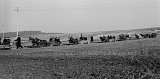 PK 00833 BUSKO