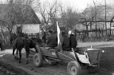 PK 00836 BUSKO