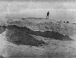 PK 00189 BUSKO