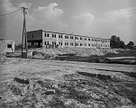 PK 00236 BUSKO