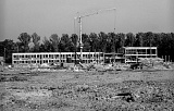 PK 00085 BUSKO