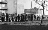 PK 00221 BUSKO