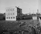 PK 00308 BUSKO