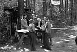 PK 01653 BUSKO