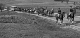 PK 04975 BUSKO