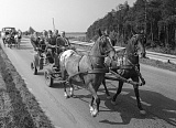 PK 04979 BUSKO