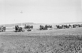 PK 00832 Busko