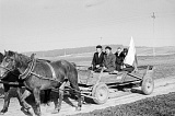 PK 00835 Busko