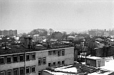 OLD 0040 35