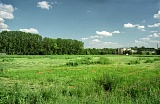 PK 06780 BUSKO