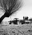 PK 02484 Busko