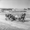 PK 06094 Busko
