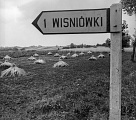 PK 07860 Busko
