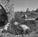 PK 07954 Busko