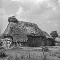 PK 08024 Busko