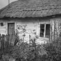 PK 08137 Busko