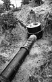 PK 07784 Busko