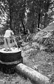 PK 07785 Busko