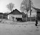 PK 08298 Busko   