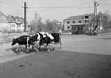 PK 08301 Busko   