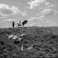 PK 08310 Busko   