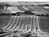 PK 08411 Busko   
