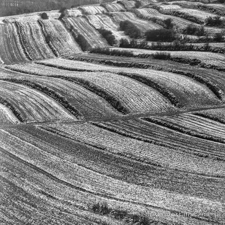 PK_08420_Busko.jpg