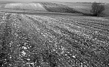 PK 08488 Busko   