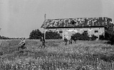 Czarkowy